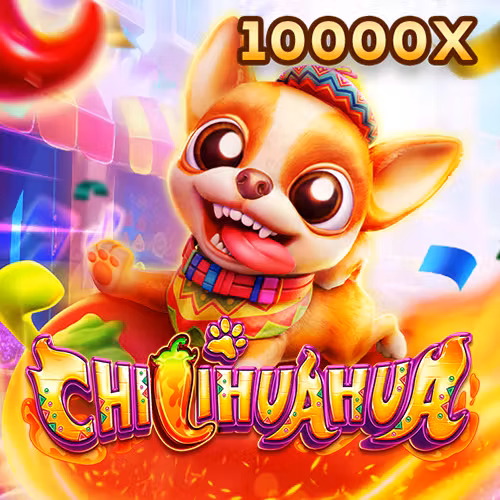 Chihuahua May Mắn
